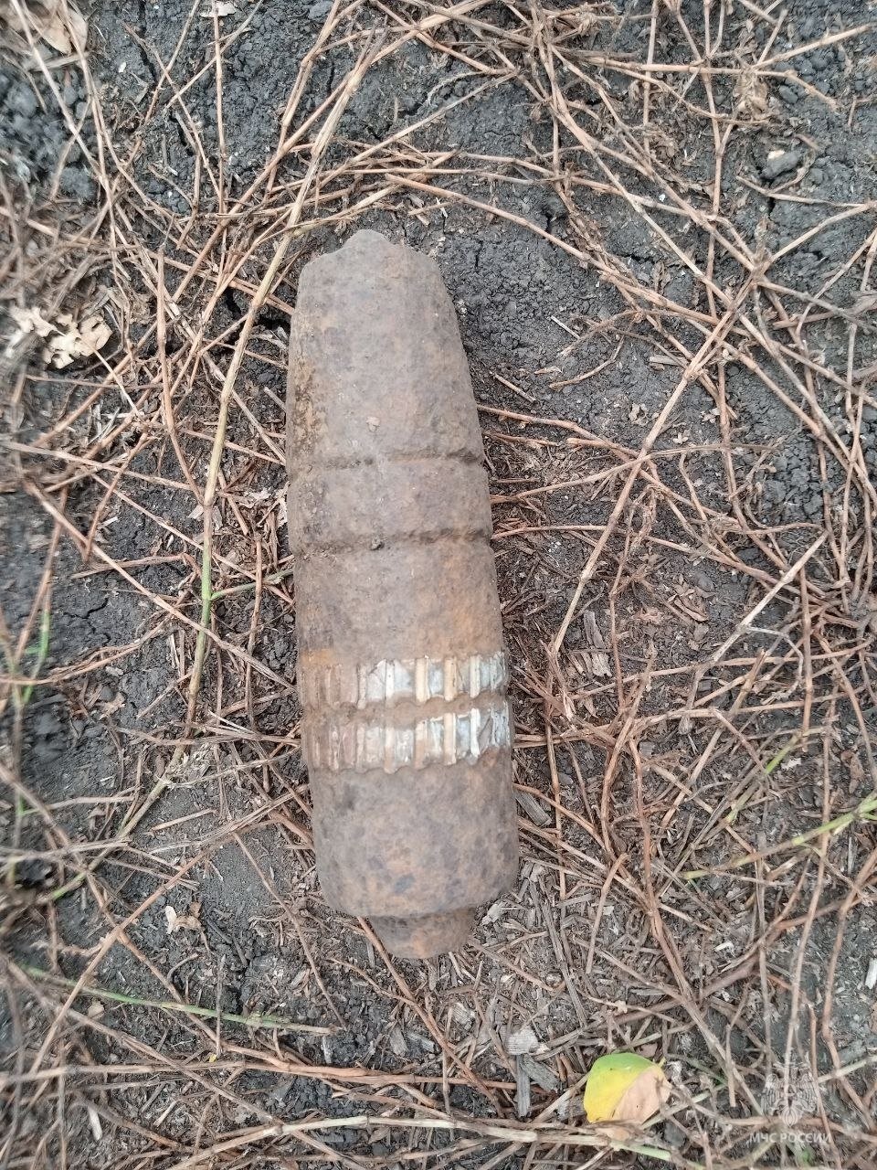 В селе Кураковка Прохоровского района обнаружен взрывоопасный предмет