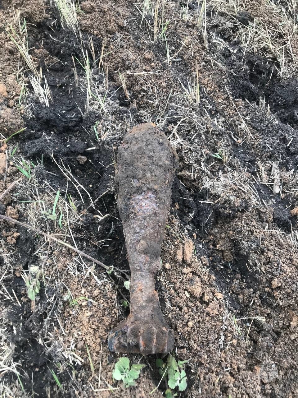 В поселке Прохоровка Прохоровского района обнаружен взрывоопасный предмет